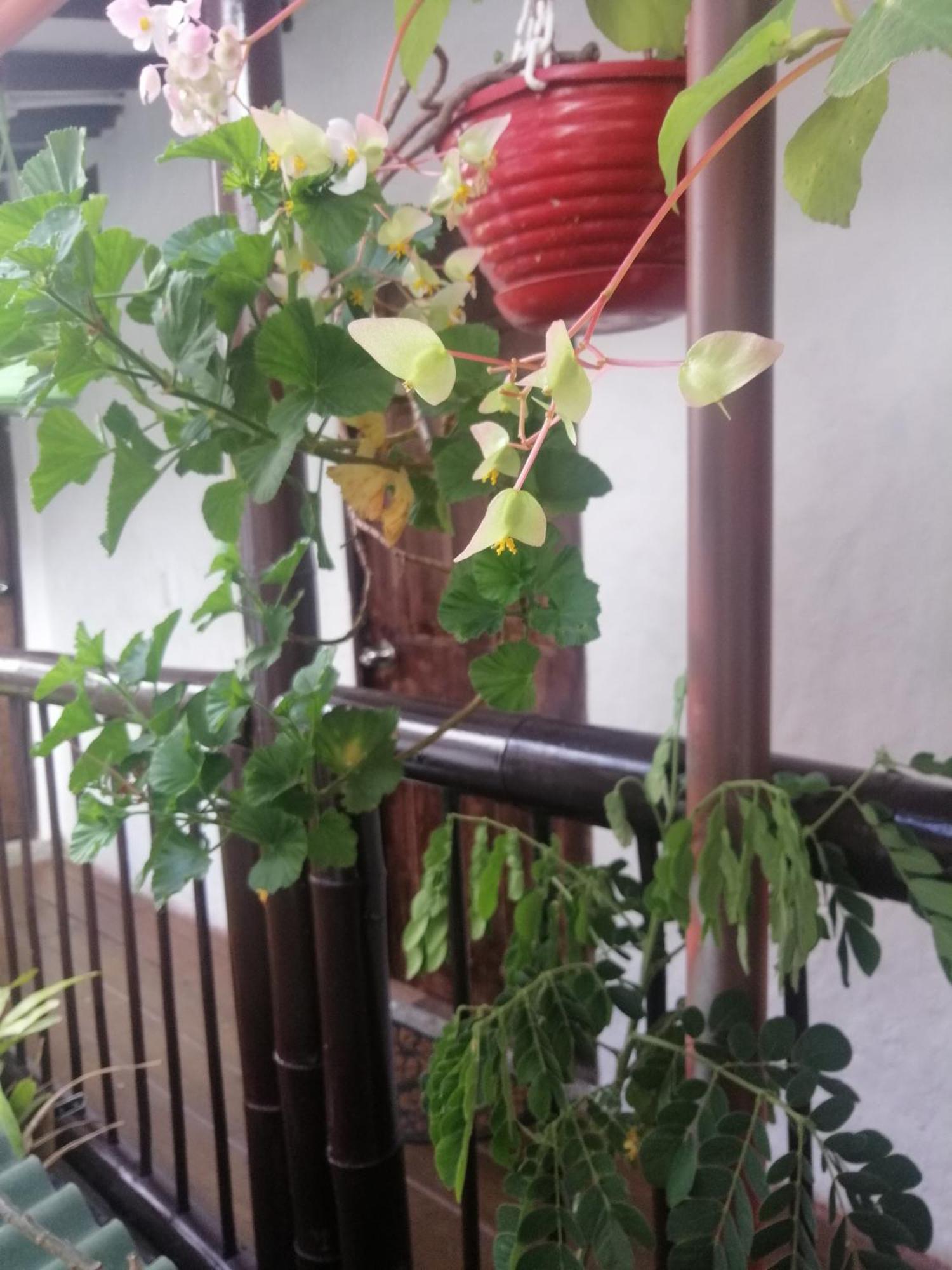 Apartaestudios La Baranda サレント エクステリア 写真