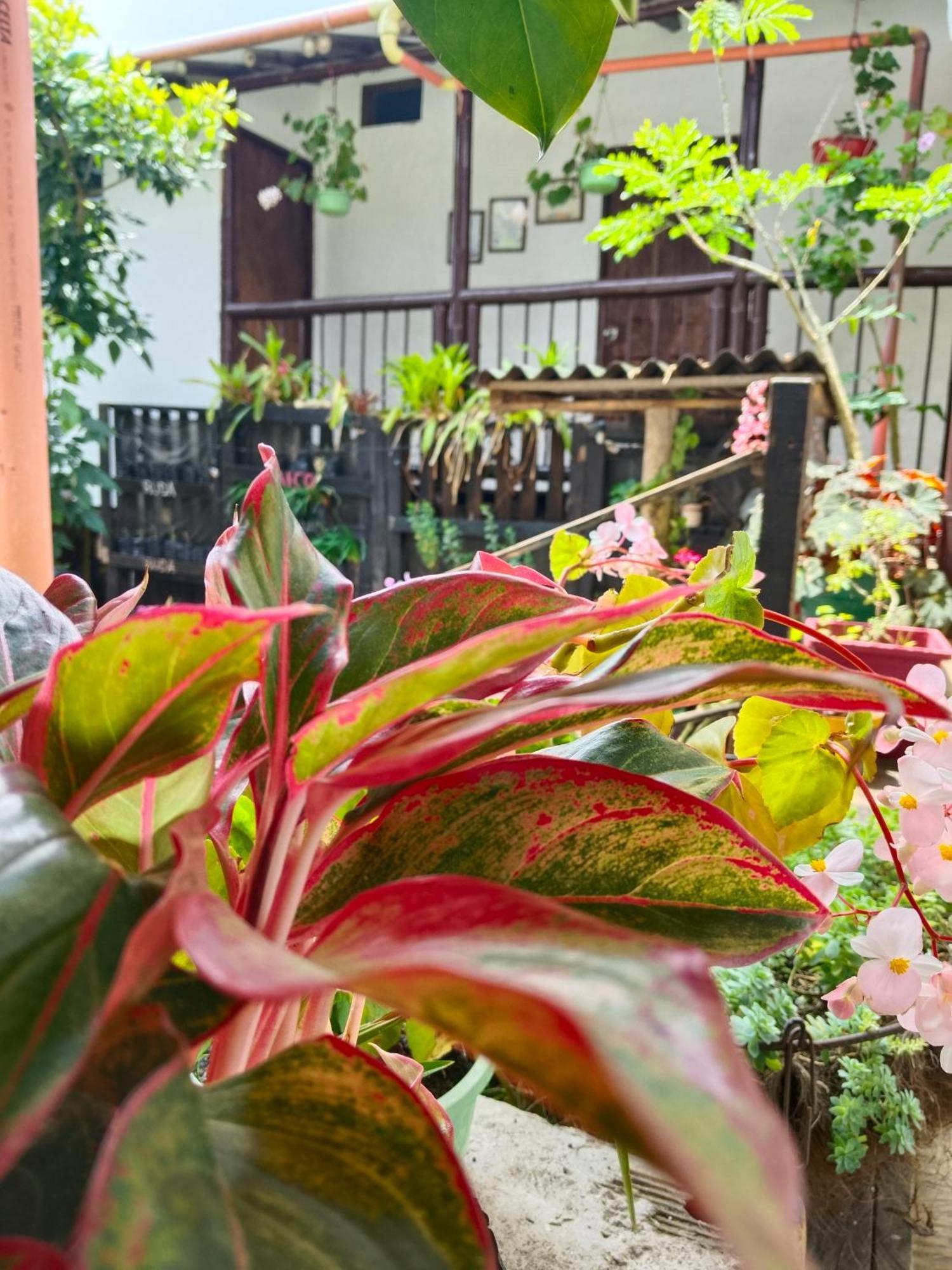 Apartaestudios La Baranda サレント エクステリア 写真