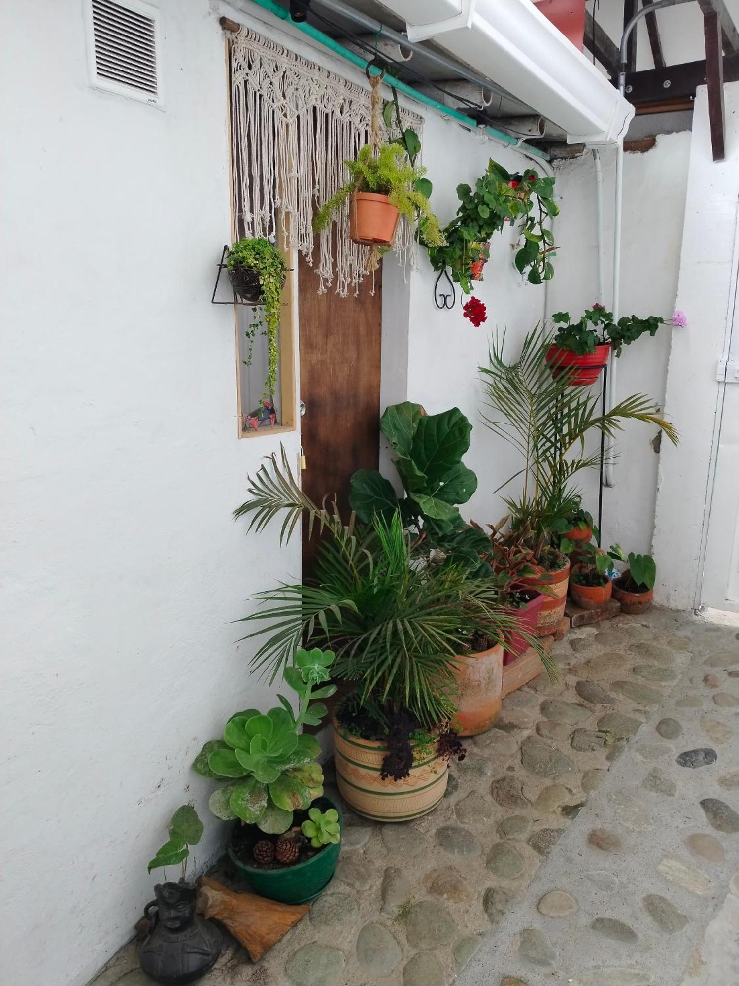 Apartaestudios La Baranda サレント エクステリア 写真